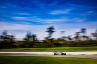 #99 - Tresor Attempto Racing - Lorenzo PATRESE - Alex AKA - Audi R8 LMS GT3 EVO II - SILVER, FGTWC
