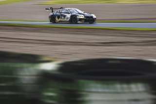 #30 - Team WRT - Niklas KRÜTTEN - Calan WILLIAMS - BMW M4 GT3 - GOLD, FGTWC, Pre-Qualifying
