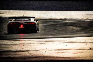 #9 - Boutsen VDS - Aurelien PANIS - Alberto DI FOLCO - Audi R8 LMS GT3 EVO II - GOLD, FGTWC
