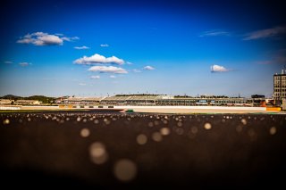 Track Walk

