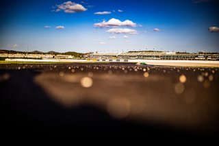 Track Walk
