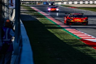 #51 - AF Corse - Francorchamps Motors - Alessio ROVERA - Robert SHWARTZMAN - Nicklas NIELSEN - Ferrari 296 GT3 - PRO, FGTWC, Paid Test Session 1
