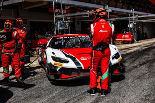 #53 - AF Corse - Manuel FRANCO - Lilou WADOUX - Cedric SBIRRAZZUOLI - Ferrari 296 GT3 - SILVER, FGTWC, Paid Test Session 2
