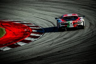 #53 - AF Corse - Manuel FRANCO - Lilou WADOUX - Cedric SBIRRAZZUOLI - Ferrari 296 GT3 - SILVER, FGTWC
