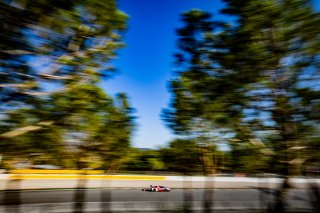 #53 - AF Corse - Manuel FRANCO - Lilou WADOUX - Cedric SBIRRAZZUOLI - Ferrari 296 GT3 - SILVER, FGTWC
