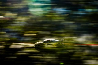 #9 - Boutsen VDS - Adam ETEKI - Aurelien PANIS - Alberto DI FOLCO - Audi R8 LMS GT3 EVO II - GOLD, FGTWC
