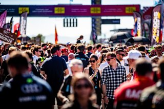 Grid Walk, Race
