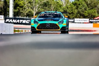 #81 - Theeba Motorsport - Alain VALENTE - Reema JUFFALI - Ralf ARON - Mercedes-AMG GT3 EVO - BRONZE, FGTWC, Race

