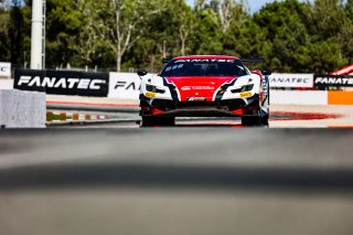 #53 - AF Corse - Manuel FRANCO - Lilou WADOUX - Cedric SBIRRAZZUOLI - Ferrari 296 GT3 - SILVER, FGTWC, Race
