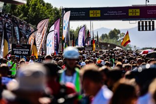 Grid Walk, Race
