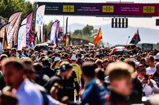 Grid Walk, Race
