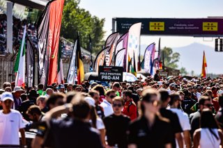Grid Walk, Race
