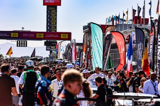 Grid Walk, Race
