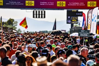 Grid Walk, Race
