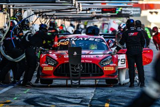 #79 - Haupt Racing Team - Arjun MAINI - Sebastien BAUD - Hubert HAUPT - Mercedes-AMG GT3 EVO - BRONZE, FGTWC, Race
