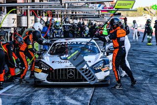 #777 - Mercedes-AMG Team AlManar - Maro ENGEL - Luca STOLZ - Fabian SCHILLER - Mercedes-AMG GT3 EVO - PRO, FGTWC, Race
