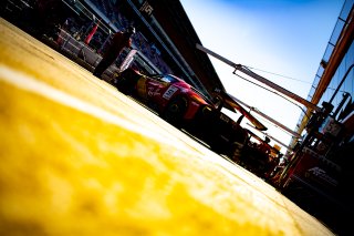 #51 - AF Corse - Francorchamps Motors - Alessio ROVERA - Robert SHWARTZMAN - Nicklas NIELSEN - Ferrari 296 GT3 - PRO, FGTWC
