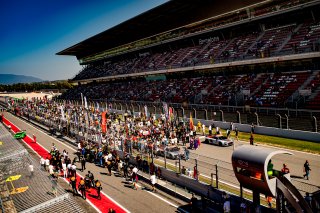 Ambiance, Grid Walk
