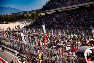 Ambiance, Grid Walk
