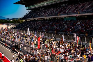 Ambiance, Grid Walk
