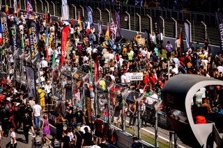 Ambiance, Grid Walk
