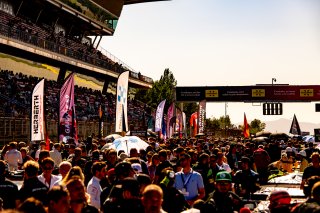 Ambiance, Grid Walk
