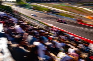 #79 - Haupt Racing Team - Arjun MAINI - Sebastien BAUD - Hubert HAUPT - Mercedes-AMG GT3 EVO - BRONZE, FGTWC
