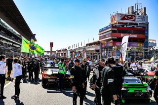 Grid Walk, Race
