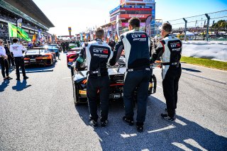 Grid Walk, Race
