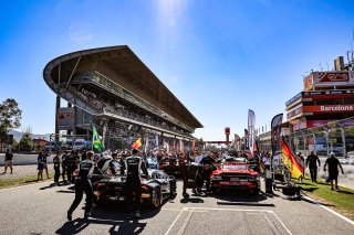Grid Walk, Race
