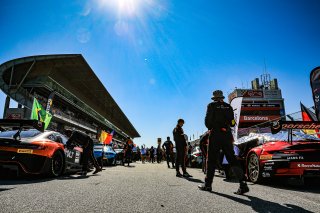 Grid Walk, Race
