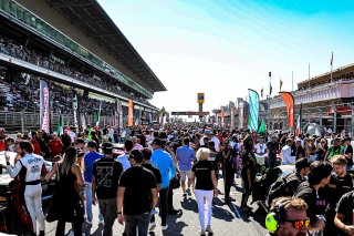 Grid Walk, Race
