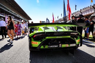 Grid Walk, Race
