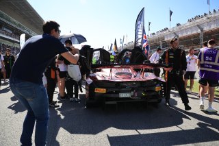 Grid Walk, Race
