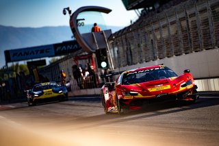 #51 - AF Corse - Francorchamps Motors - Alessio ROVERA - Robert SHWARTZMAN - Nicklas NIELSEN - Ferrari 296 GT3 - PRO, FGTWC

