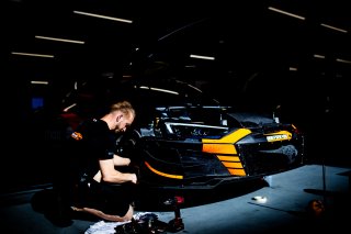 #10 - Boutsen VDS - Roee MEYUHAS - Andrea COLA - Cesar GAZEAU - Audi R8 LMS GT3 EVO II - SILVER, FGTWC, Set Up
