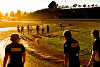 Track Walk
