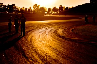 Track Walk

