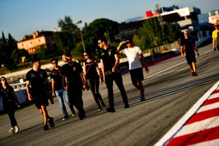 Track Walk

