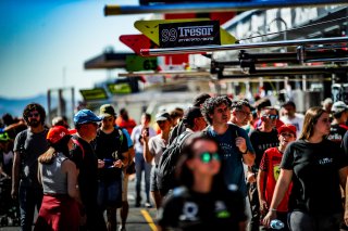 Pit Walk
