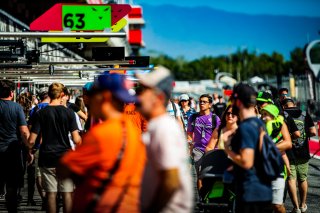 Pit Walk
