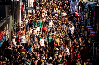 Ambiance, Autograph Session
