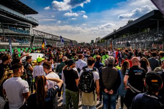 Grid Walk

