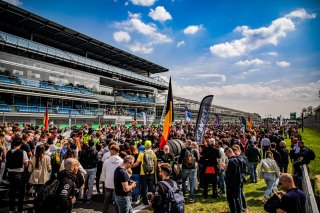 Grid Walk
