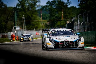 #57 - Winward Racing - Russell WARD - Indy DONTJE - Philip ELLIS - Mercedes-AMG GT3 - GOLD, FGTWC, Race
