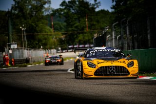 Race

