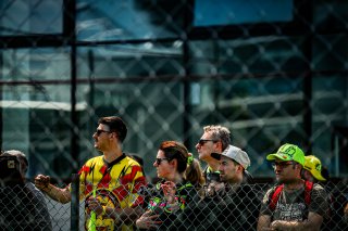 Grid Walk
