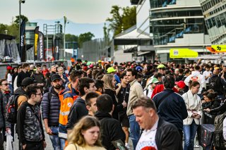 Pitwalk
