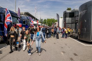 Ambiance, Paddock
