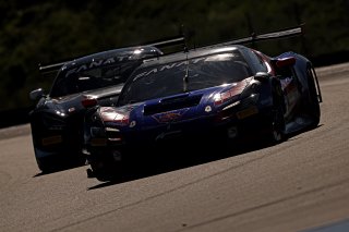 #69 - Emil Frey Racing - Ferrari 296 GT3 
